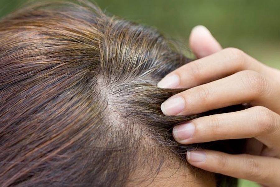 ¿Cómo utilizar los tintes naturales para canas?