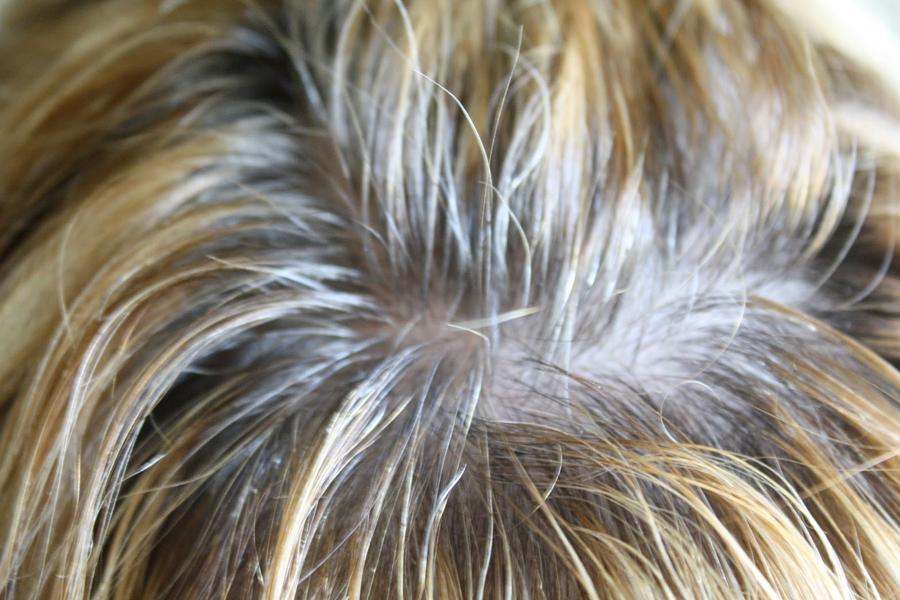 ¿Cómo disimular las canas?