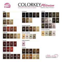 Oxidante Silkey 20 Vol 900ml Profesional